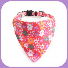 Collar-037